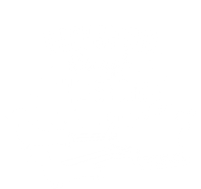 Dachshund Through The Snow Funny Santa Sled Novelty Gift T-Shirt