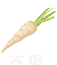 Daikon Japanese Daikon Radish Gift Coaster