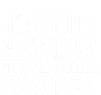 I'm Not Retired I'm A Professional Grandpa Gift T-Shirt