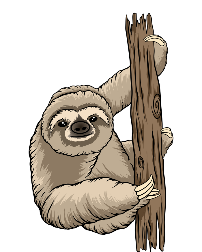 Sloth T-Shirt