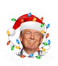 It's Beginning To Look A Lot Like I Told You So Trump Xmas Cute Gift T-Shirt