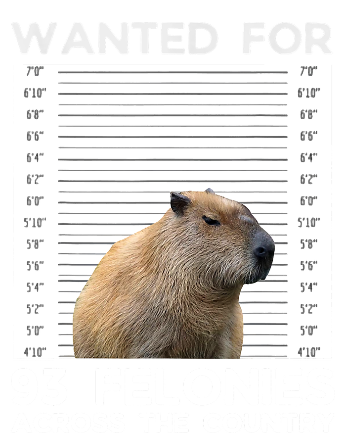 Capybara Mugshot Wanted For 93 Felonies Across The Country Women's T-Shirt