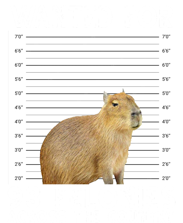 Wanted For 93 Felonies Across The Country Capybara Mugshot T-Shirt