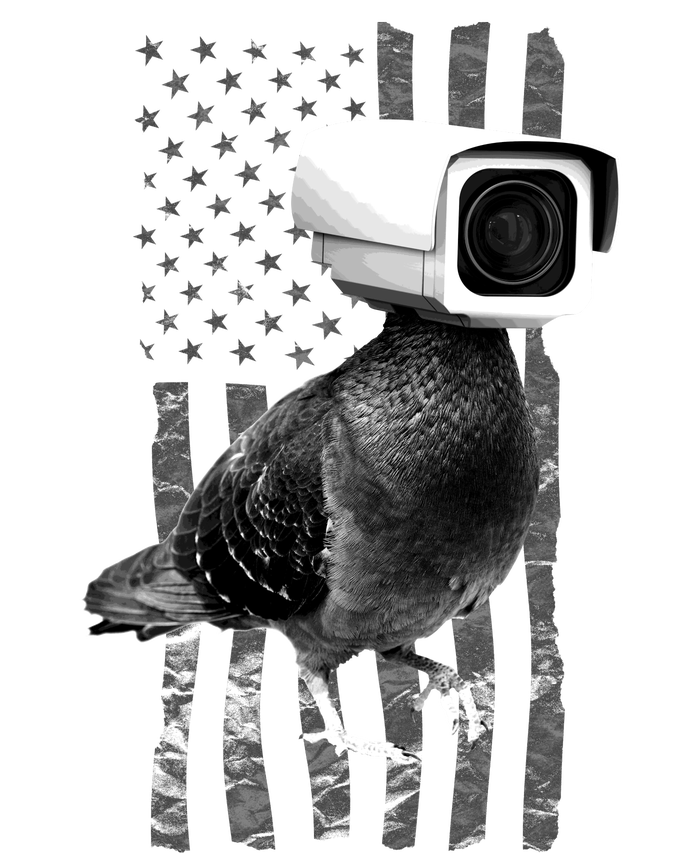 Pidgeon Camera USA Flag Toddler Sweatshirt