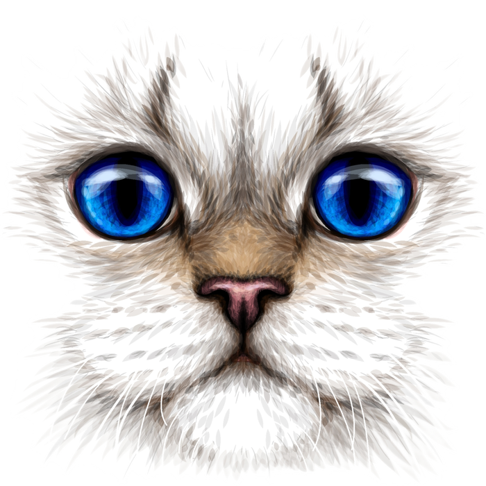 Blue Eyed Realistic Cat Face 12 oz Stainless Steel Tumbler Cup