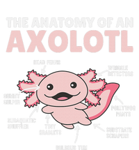 Anatomy Of an Axolotl Sweet Axolotl Explanation  Coaster