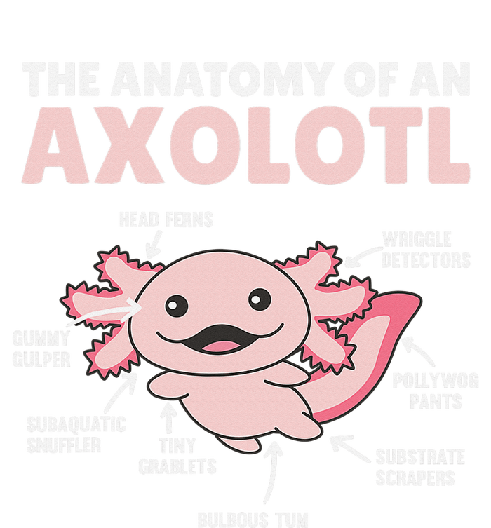 Anatomy Of an Axolotl Sweet Axolotl Explanation  Coaster