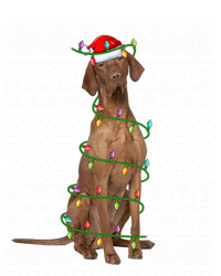 Ugly Sweater Style Xmas Lights Santa Vizsla Dog Christmas Gift Hoodie