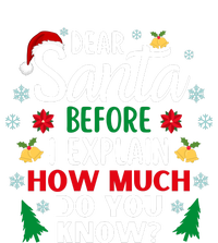 Christmas Dear Santa Before I Explain How Much Do You Know T-Shirt