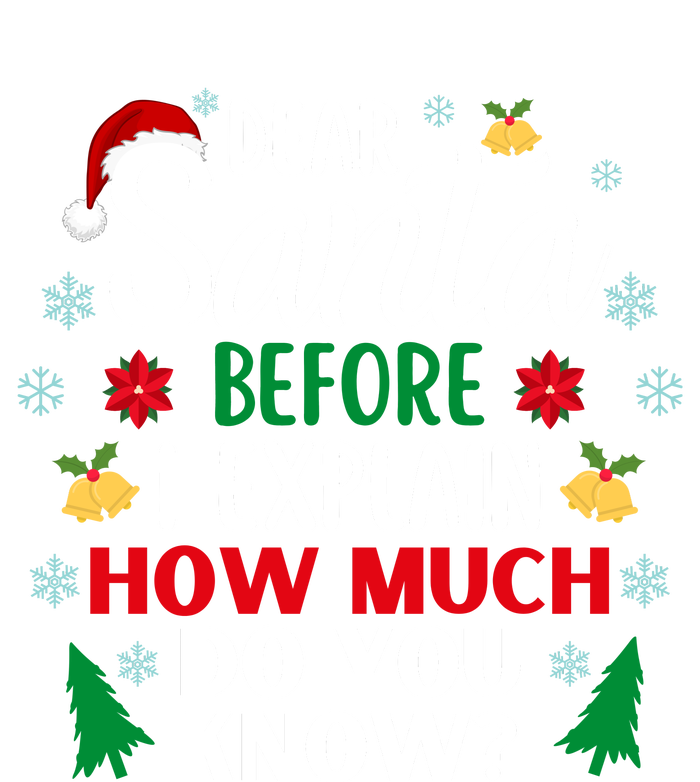 Christmas Dear Santa Before I Explain How Much Do You Know T-Shirt