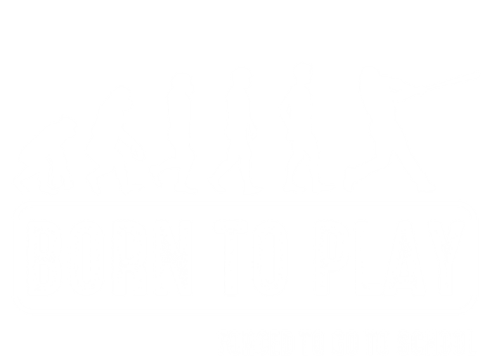 Born To Play Baseball Forced To Go To School Hu Evolution Great Gift T-Shirt