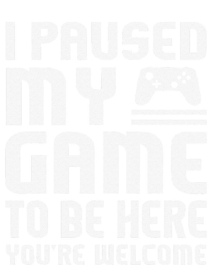 I Paused My Game To Be Here  Funny Video Gamers Gift  Hoodie