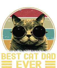 Vintage Best Cat Dad Ever Funny Cat Daddy Father Day Striped Beanie with Solid Band