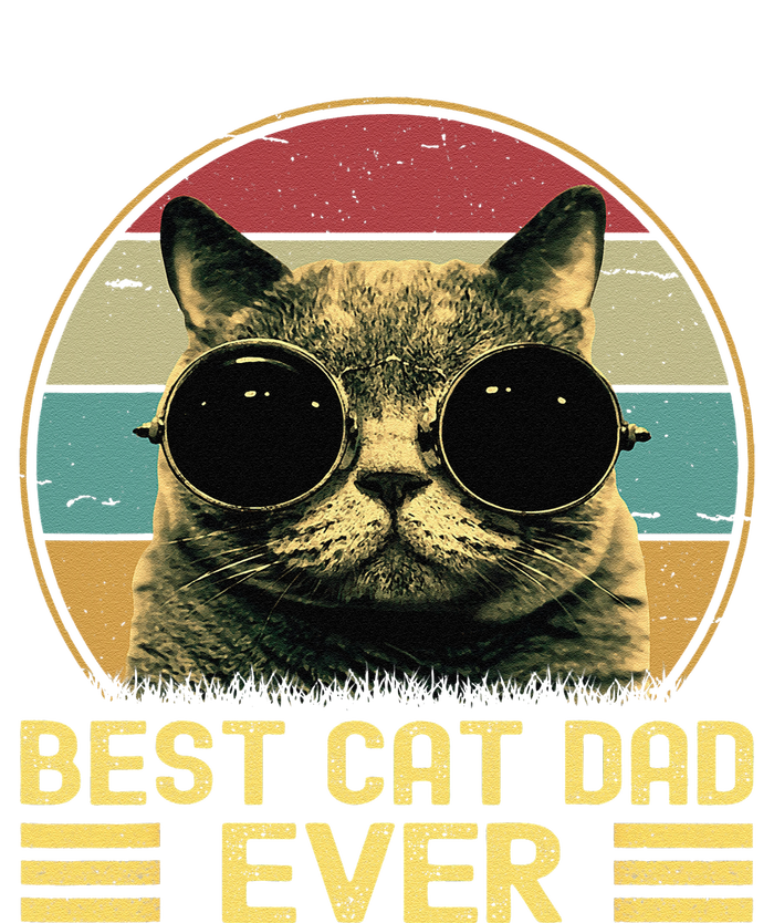 Vintage Best Cat Dad Ever Funny Cat Daddy Father Day Striped Beanie with Solid Band