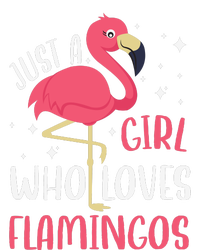 Just A Girl Who Likes Flamingos Enza Ladies Jersey Colorblock Tee