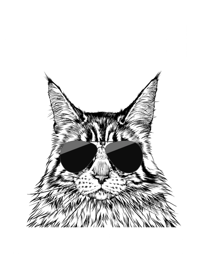 Fluff You You Fluffin Fluff Funny Fluffy Maine Coon Cat Gift Kids Hoodie