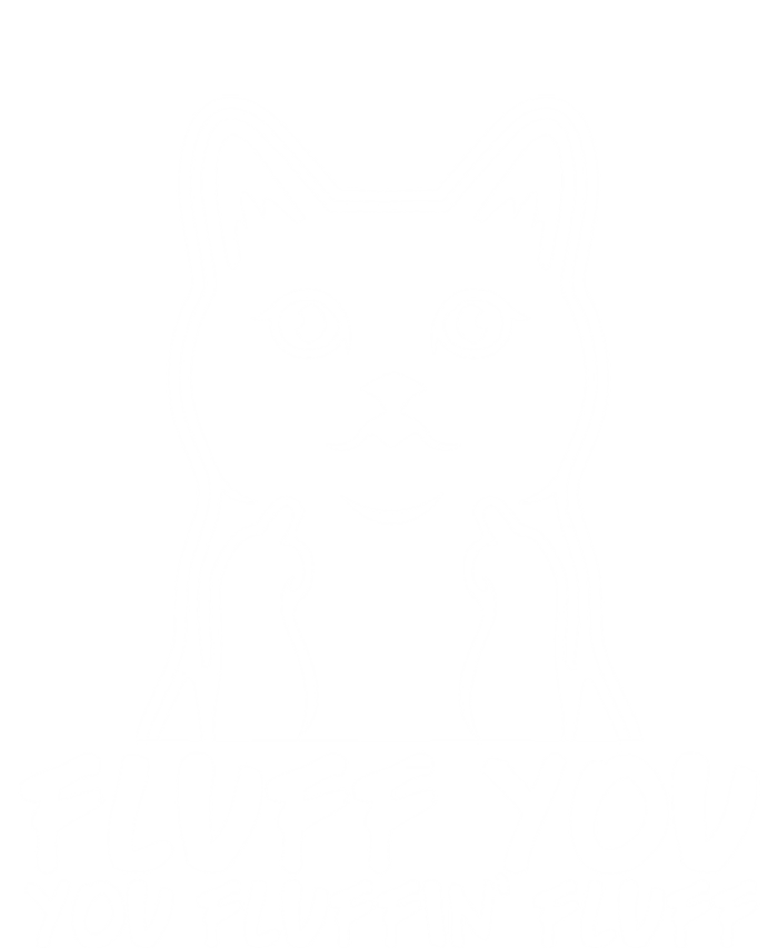 Fluff You You Fluffin Fluff Gift Funny Cat Kitten Lovers Gift T-Shirt