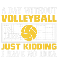 funny A day without Volleyball is like just kidding I have Poster