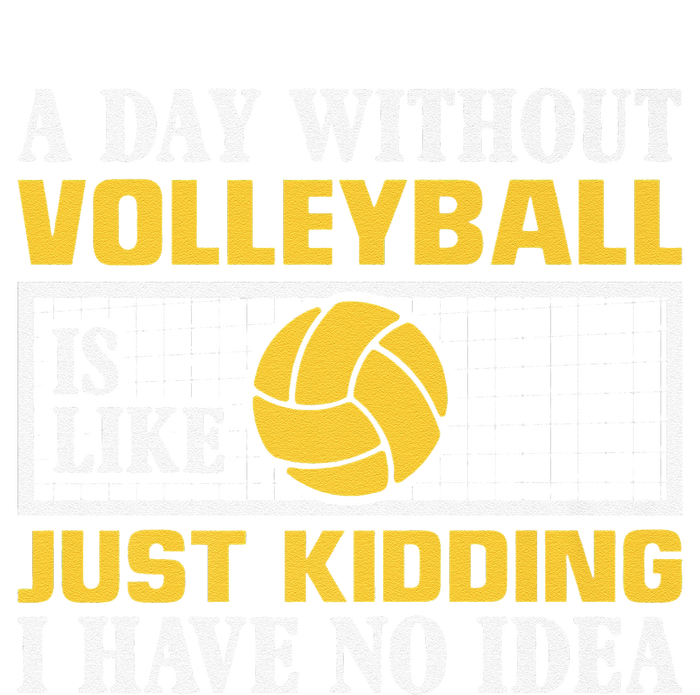 funny A day without Volleyball is like just kidding I have Poster