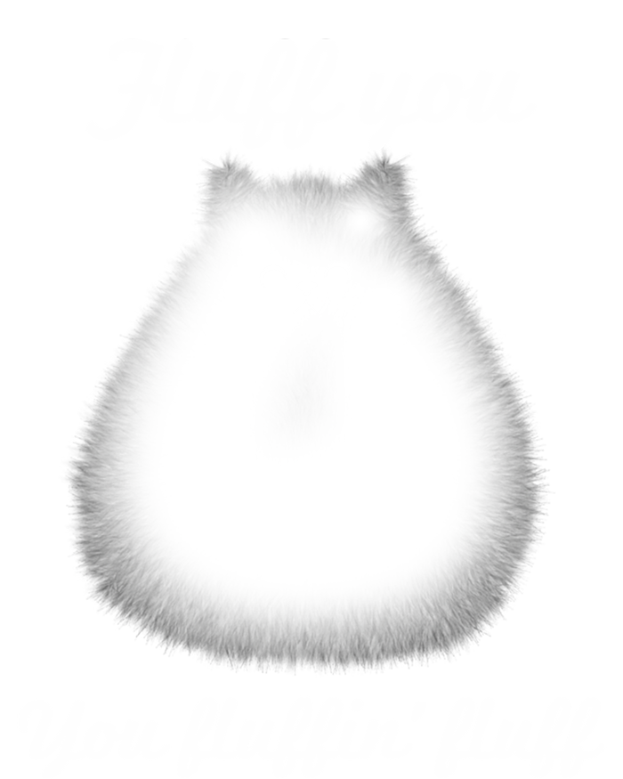 Fluff You You Fluffin' Fluff Funny Fully Kitten Cat Gift V-Neck T-Shirt