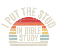 Retro I Put The Stud In Bible Study Funny Christian Valucap Bio-Washed Visor