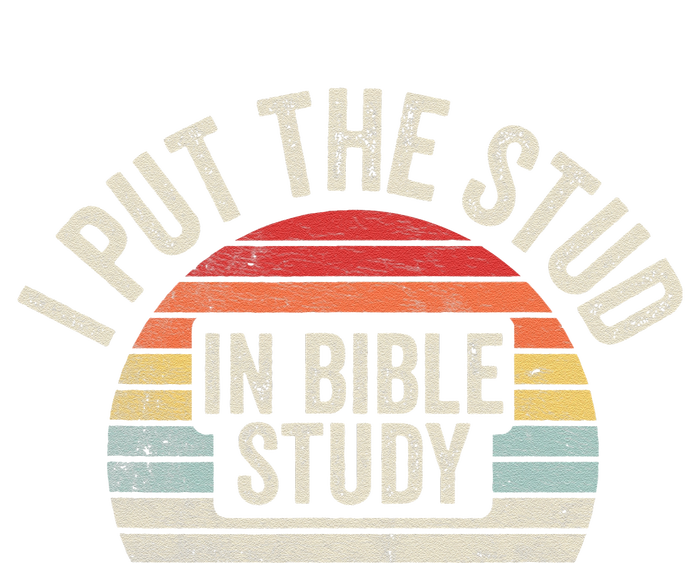 Retro I Put The Stud In Bible Study Funny Christian Valucap Bio-Washed Visor