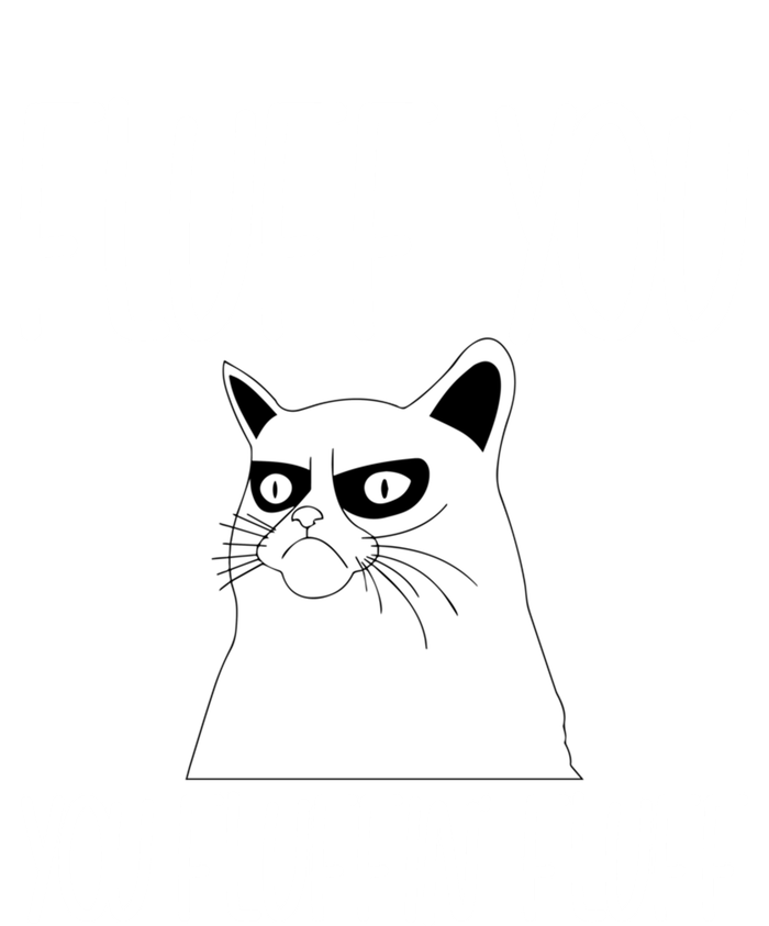 Fluff You You Fluffin' Fluff Cat Sitter Cool Gift Valucap Bio-Washed Visor