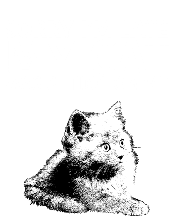 Funny Cat Saying Sorry I Am Late My Cat Was Sitting On Me Cute Gift Women's T-Shirt