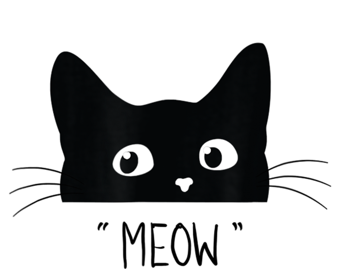 Black Cat Meow Cat Meow Kitty Funny Cats Kitty Stainless Steel Insulated Water Bottle