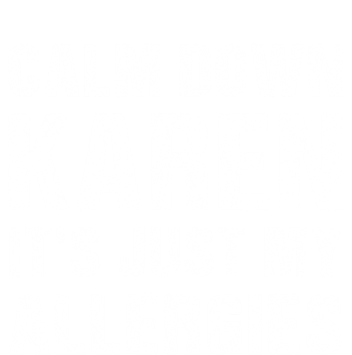 Calm Down Karen It's Just My Allergies Funny Gift Premium T-Shirt