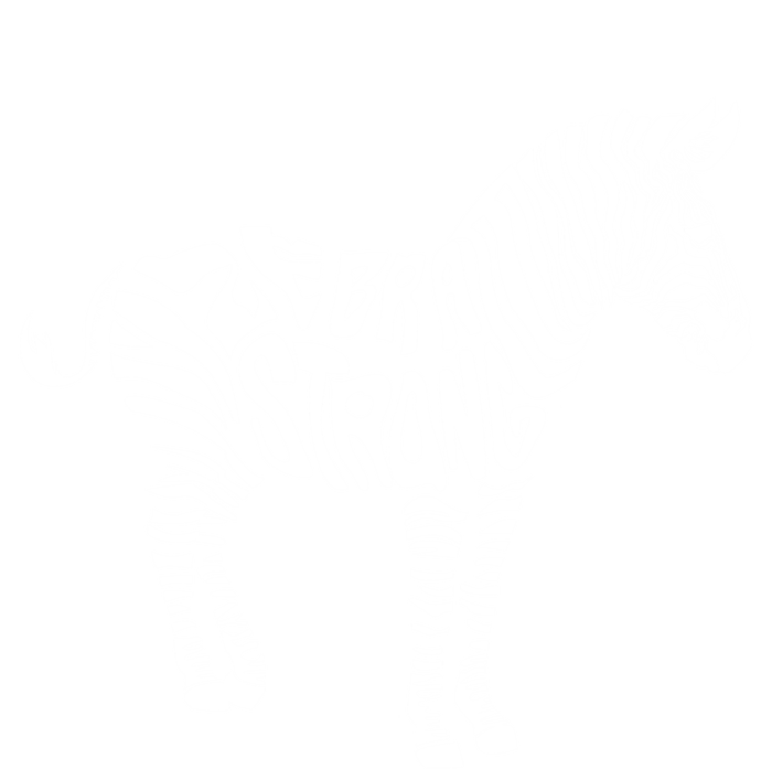 Cute Zebra Strong Ehlers Danlos Syndrome Awareness Gift T-Shirt