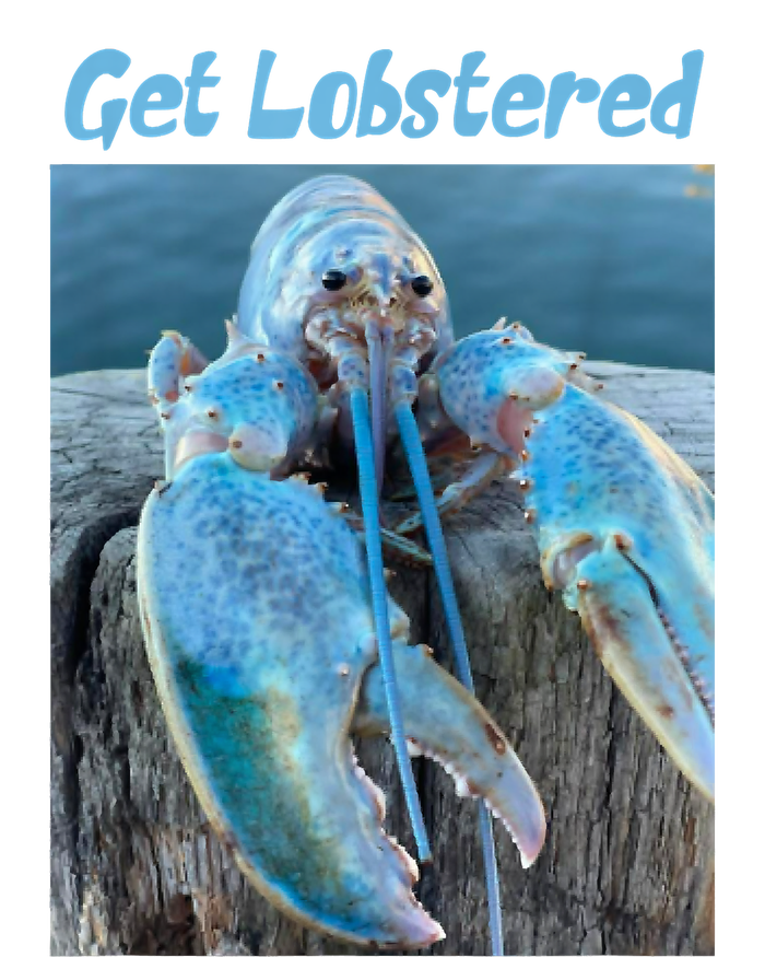 Funny Jumpscare Lobster Meme Blue Crustacean T-Shirt