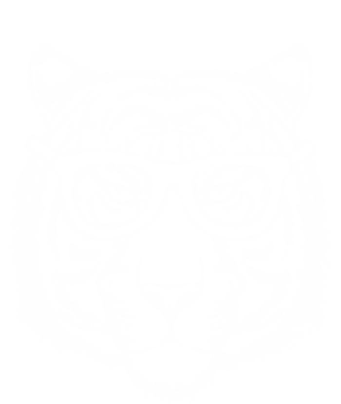 Artistic Tiger Head And Hipster Glasses Funny Graphic Gift Sweatshirt