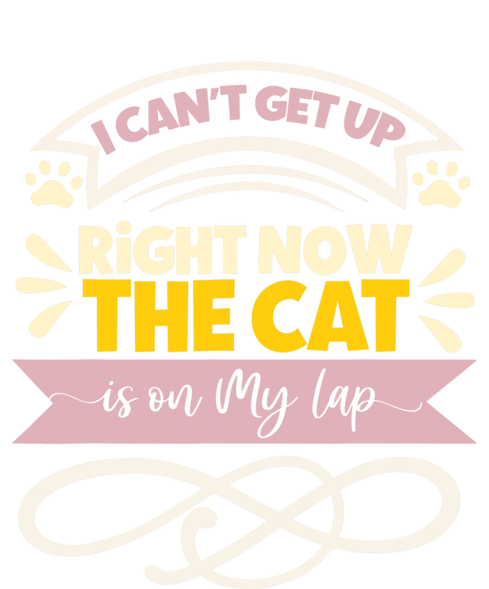 I Can't Get Up Right Now The Cat Is On My Lap, Funny Cat Womens Funnel Neck Pullover Hood