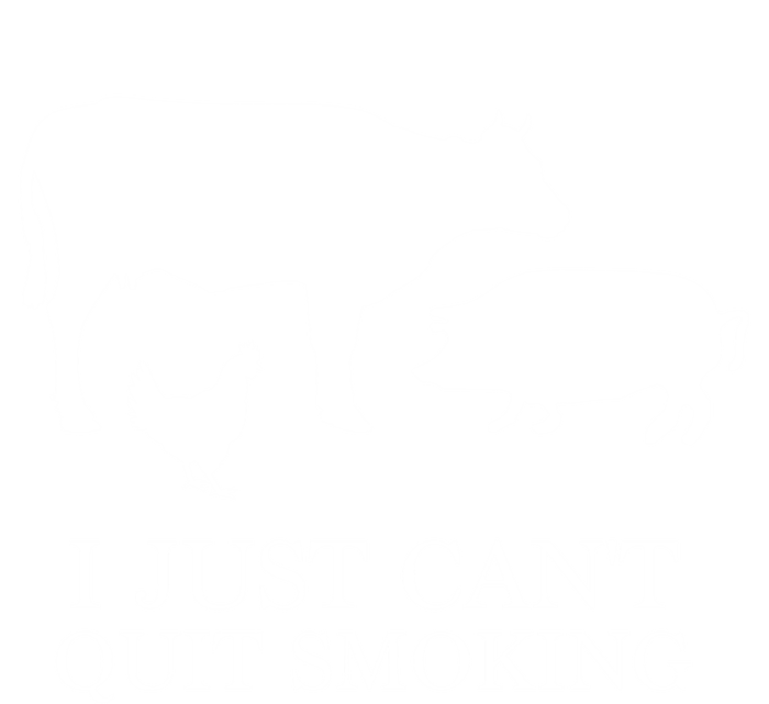 I Just Can't Quit Smoking! Bargiftbgiftque Hot And Smokey! Tie Dye Hoodie