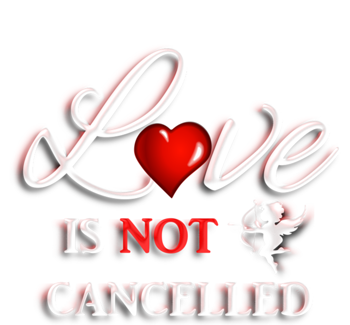 Love Is Not Cancelled Gift Happy Valentines Day Gift T-Shirt