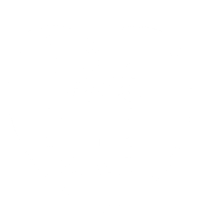 Best Bebe Ever Grandma Mothers Day Birthday Funny Gift Cool Gift T-Shirt