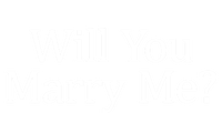 Will You Marry Me? Gift T-Shirt