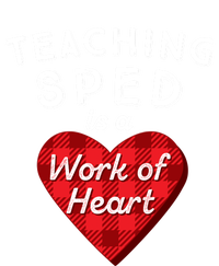 Sped Teacher Gift Valentines Day Plaid Work Of Heart Gift Hoodie