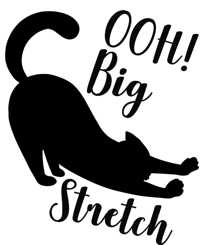 Big Stretch Funny Cat Lover T-Shirt