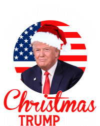 All I Want For Christmas Is Trump Back And New President Gift T-Shirt