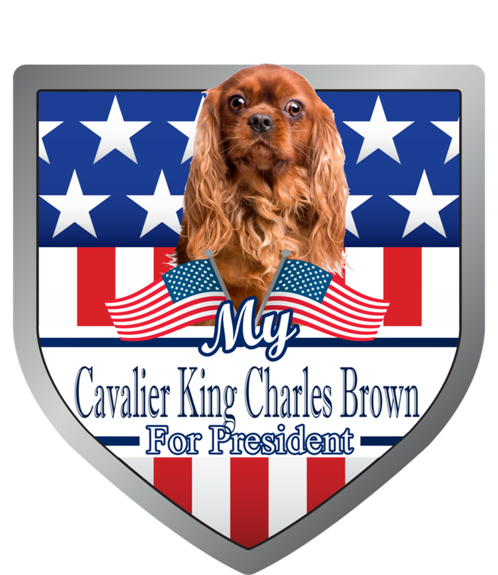 My Cavalier King Charles Brown For President Meaningful Gift Striped Beanie with Solid Band