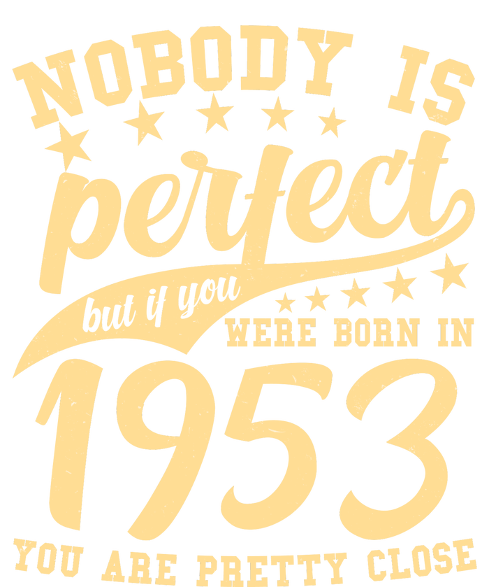 Nobody Is Perfect Born In 1953 70th Birthday T-Shirt