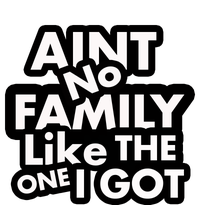 Ain't No Family Like The One I Got T-Shirt