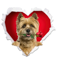 Cairn Terrier Dog Rose Heart Valentines Day Couple Gift Kids Sweatshirt