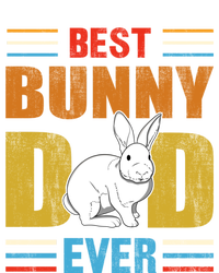 Best Bunny Dad Ever Matching Family Easter Retro Funny Gift Pom Pom 12in Knit Beanie