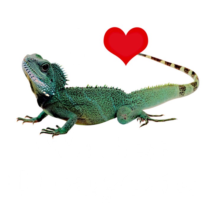 I Love Water Dragons With A Heart Gift Ladies Long Sleeve Shirt