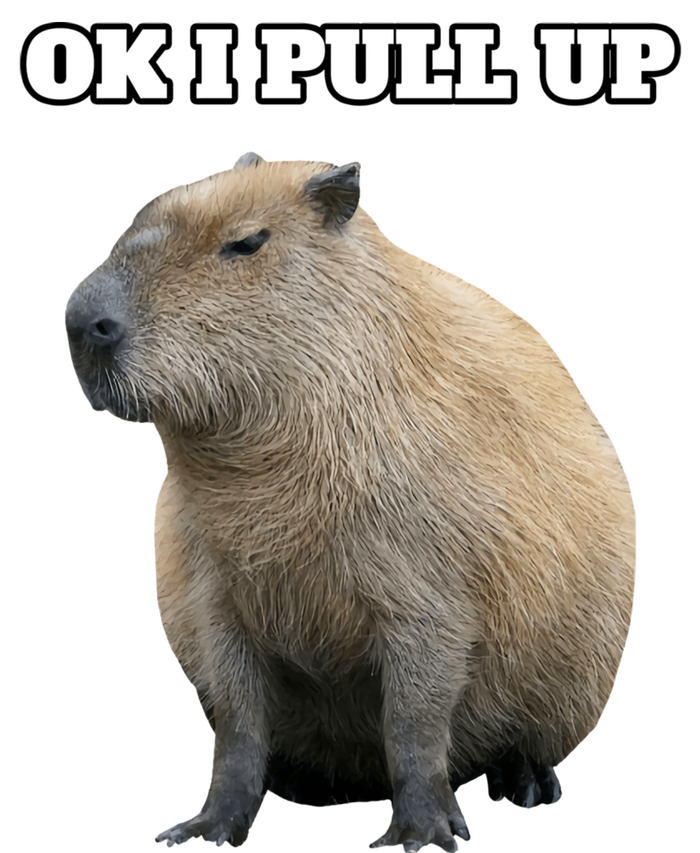 Ok I Pull Up Capybara Gift Funny Capybara Meme Ok I Pull Up Kids Long Sleeve Shirt