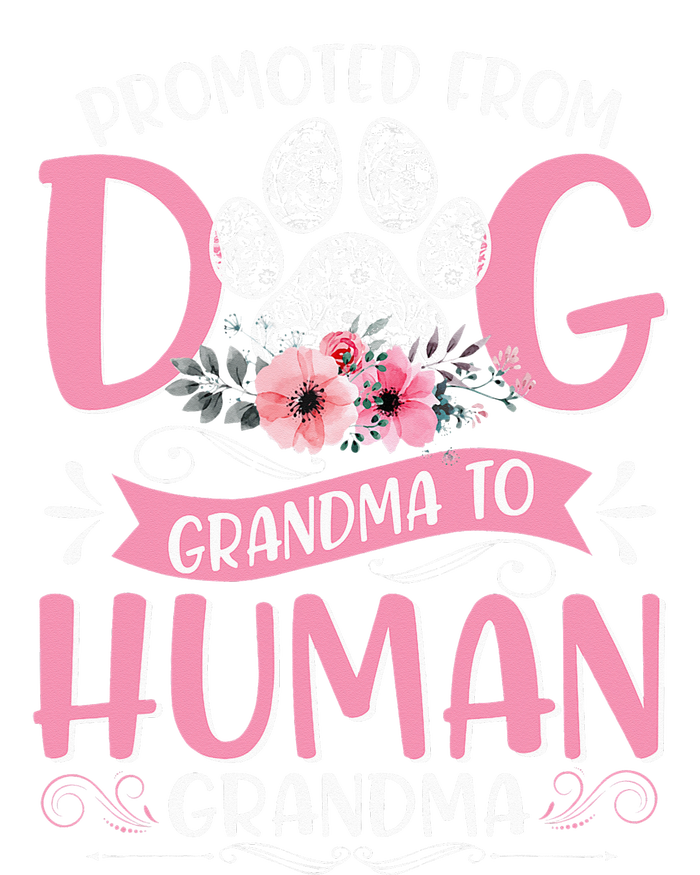 Promoted From Dog Grandma To Human Grandma Mother's Day T-Shirt