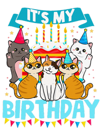 My Birthday Cat And Kitten Party Day Girl's And Boy's T-Shirt